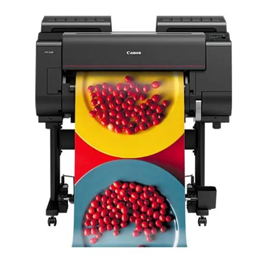 Canon imagePROGRAF large-format printer printing a colourful photograph